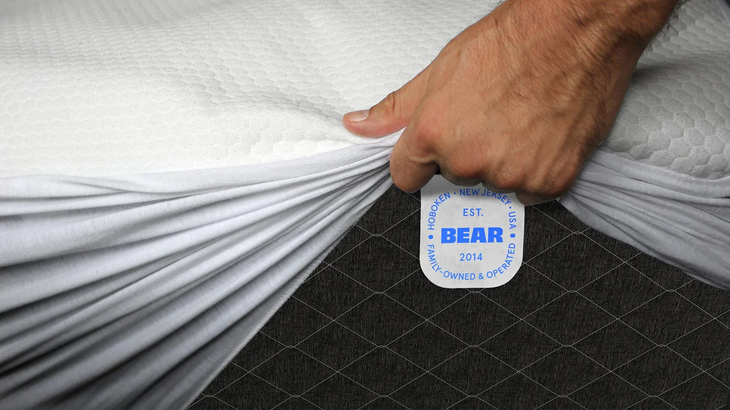 Bear Protector - Image 3
