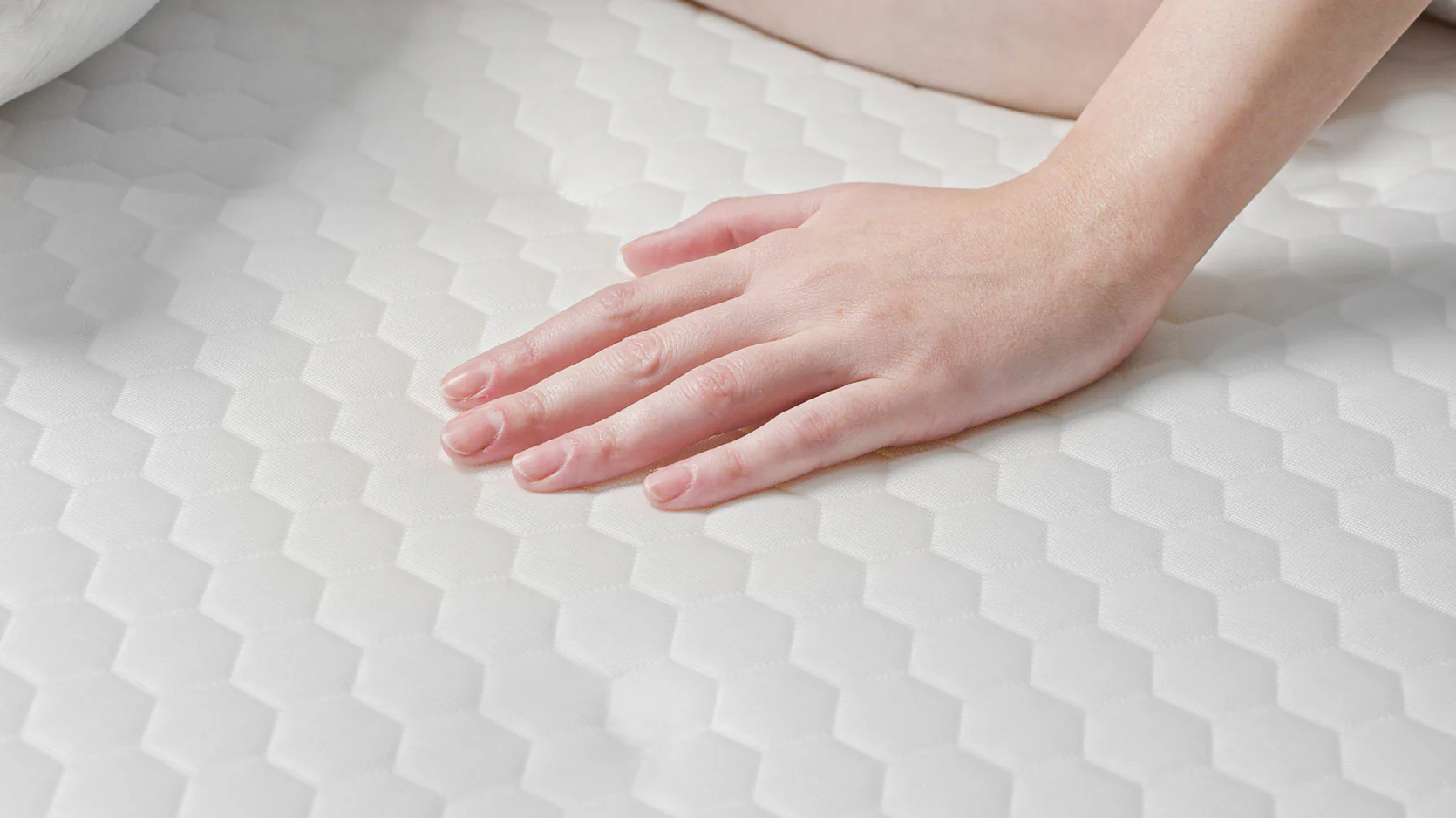 GlacioTex Protector - Image 4